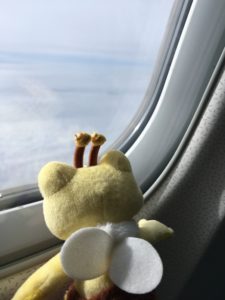飛行機の窓をのぞくかえるの人形